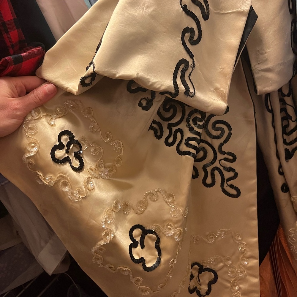 Theatrical Victorian Style Velvet and Lamé Gown with Beadwork and Bow -Costume - Picture 10 of 11